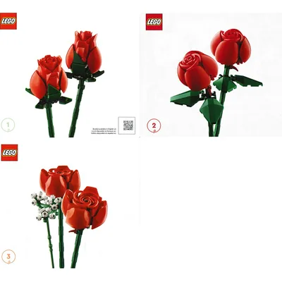 Bouquet of Roses — instructions
